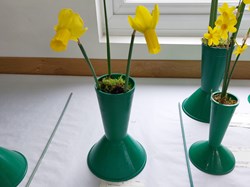 Bucklebury and Marlston Horticultural Society Spring Show Report 2026