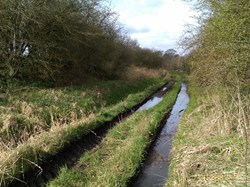 Remains of Carlisle canal