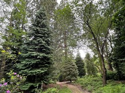 Bucklebury History Group The Dell - Carbinswood Lane