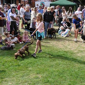 Goodworth Clatford Parish Council  Fete 2026 photos