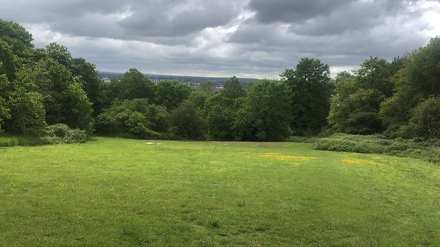 Hoo St Werburgh and Chattenden Parish Council Hoo Common