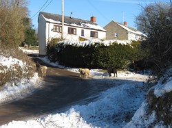 Winter traffic on the edge of the village.
