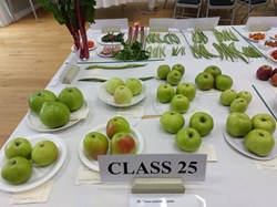 Bucklebury and Marlston Horticultural Society Autumn Show 2024