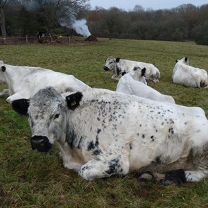 Hedgerley Parish Council Hedgerley Conservation