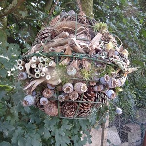 We love making insect habitats. These globe habitats are really attractive and very simple to make. we will be selli ng them in the Garden shop in the Autumn.