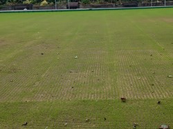 Whitstable Bowling Club Relaying new green 2024