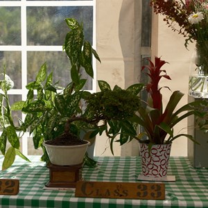 HBT Horticultural Society Photographs 2026
