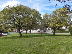 Cannock Wood Parish Council Location