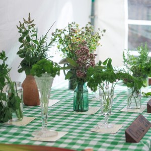 HBT Horticultural Society Photographs 2025