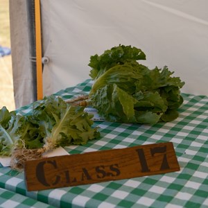 HBT Horticultural Society Photographs 2026