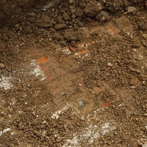 The red tesserae border