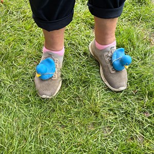 Louth & District Lions Duck Race