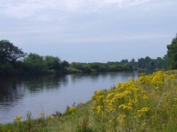 Photo by Phil Rowland