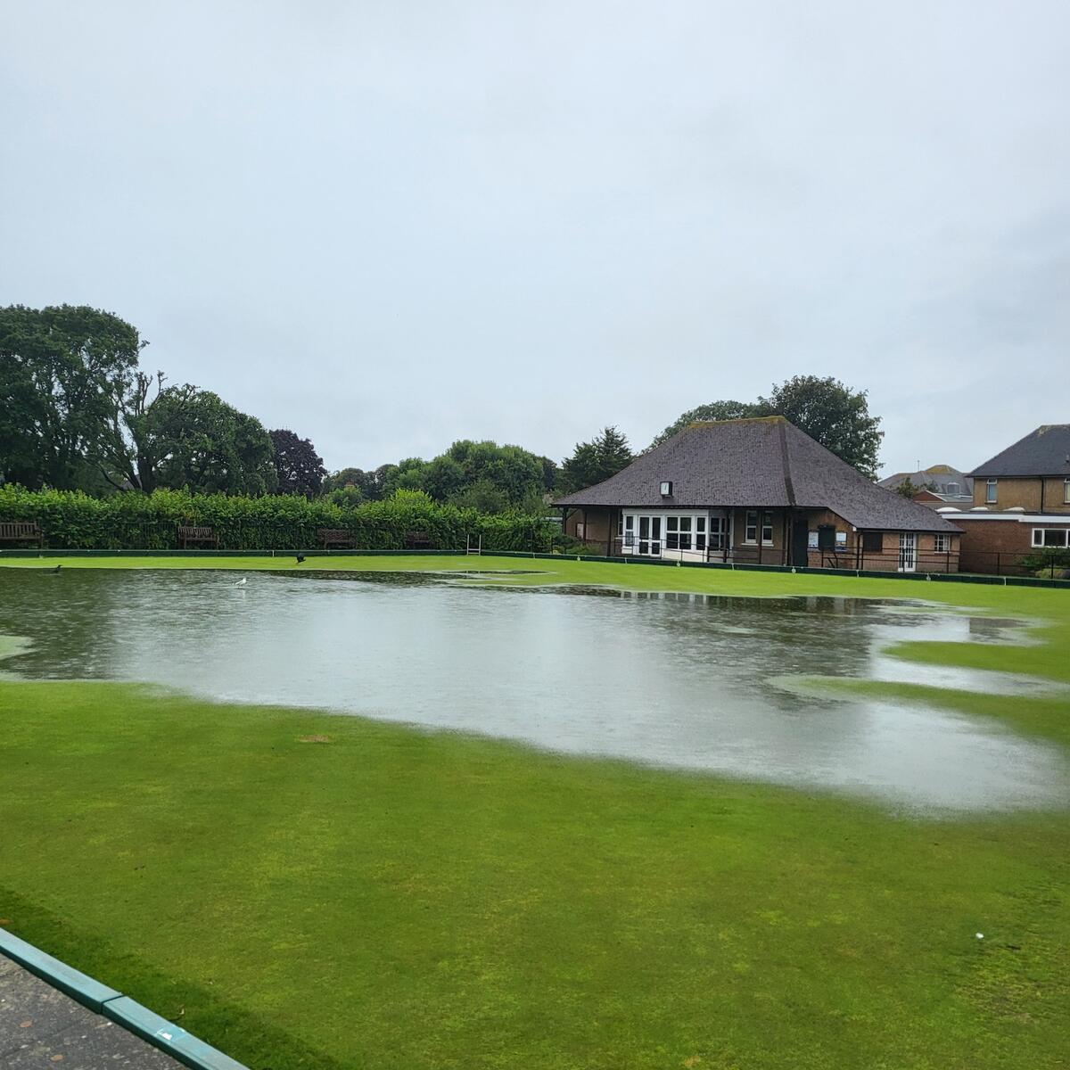 The Green at Maltravers (club house in background) 1200 on Sat 24th August  2024