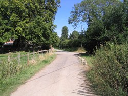 Bridle Way South of Great Coxwell looking North
