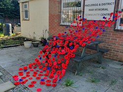 Cascade of poppies at the Commun
