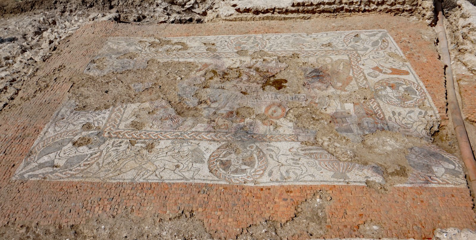The Mosaic 6m x 5m- the walls of the room can be clearly seen. The figurative panels are surrounded by a red tesserae border