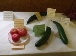 2016 Flower and Produce Show