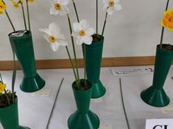 Bucklebury and Marlston Horticultural Society Spring Show Report 2026