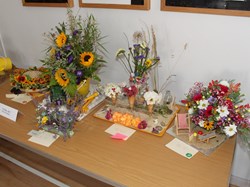 Martinstown Village Hall Martinstown Craft and Garden Show