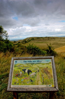 Ivinghoe Beacon