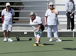 Henfield Bowling Club The Bowls