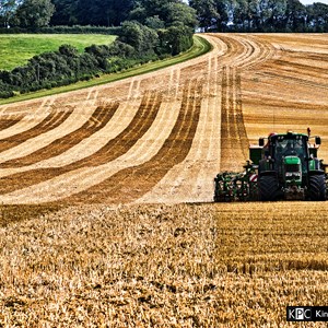 Gallery, Kingsclere Neighbourhood Plan