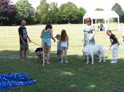 Ilminster and District Lions Club Dog Shows/Rally