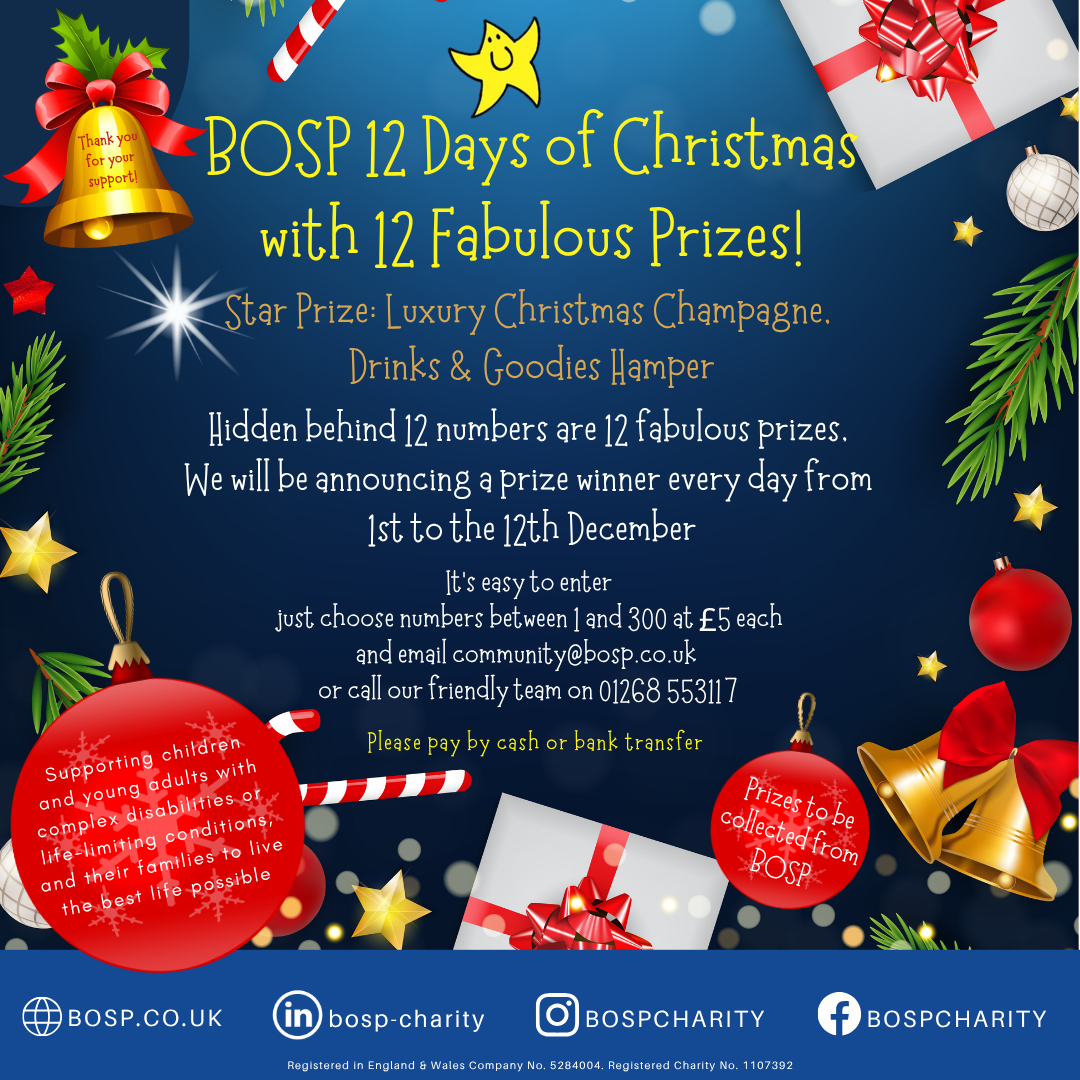 BOSP Brighter Opportunities for Special People  BOSP 12 Days of Christmas