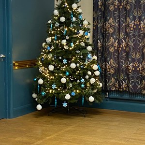 Caynham Parish Council Village Halls