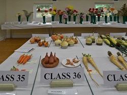 Bucklebury and Marlston Horticultural Society Autumn Show 2024