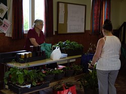 2025 VE 80th Celebrations