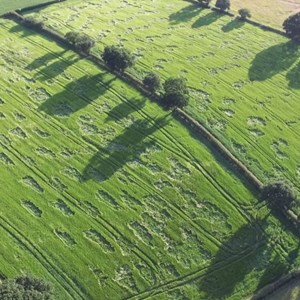 Moston Parish Council Parish Aerial Views
