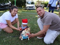 Ilminster and District Lions Club Dog Shows/Rally