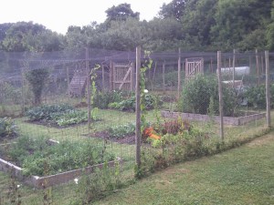 Ivinghoe Parish Council Allotments