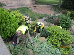 Clearing the rockery - September