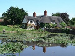 Thatched Cottage and Pool