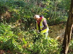 The Friends of Scarborough Valley Gardens Home