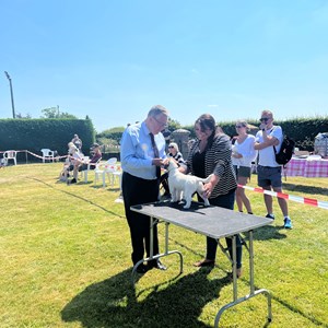 Whixall Social Centre Whixall Dog Show 2023 Report and Phots