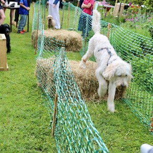 Berwick St James Parish Berwick Village Fayre - 8th June 2025