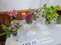 Bucklebury and Marlston Horticultural Society Autumn Show Report 2026