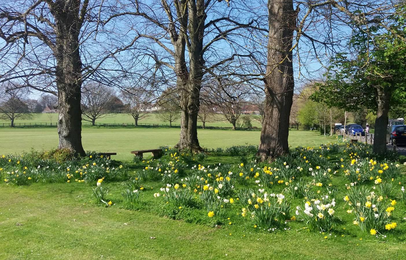 Lavant Village Green