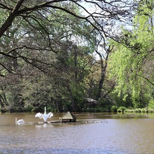 Our neighbours at The Basins