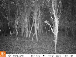 Wildlife camera October 2025
