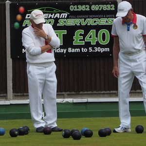 Aldiss Park Bowls Club EBF Area Finals gallery 1