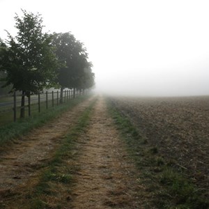 Autumnal feel at the start of the day…