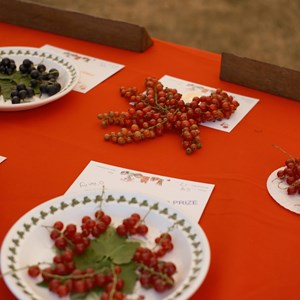 HBT Horticultural Society Photographs 2026