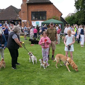 Goodworth Clatford Parish Council Village Fete/Garden Show