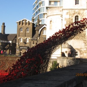 BISHOP MONKTON TODAY The Meaning of Remembrance Day