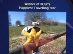 BOSP Brighter Opportunities through Supported Play Fundraising